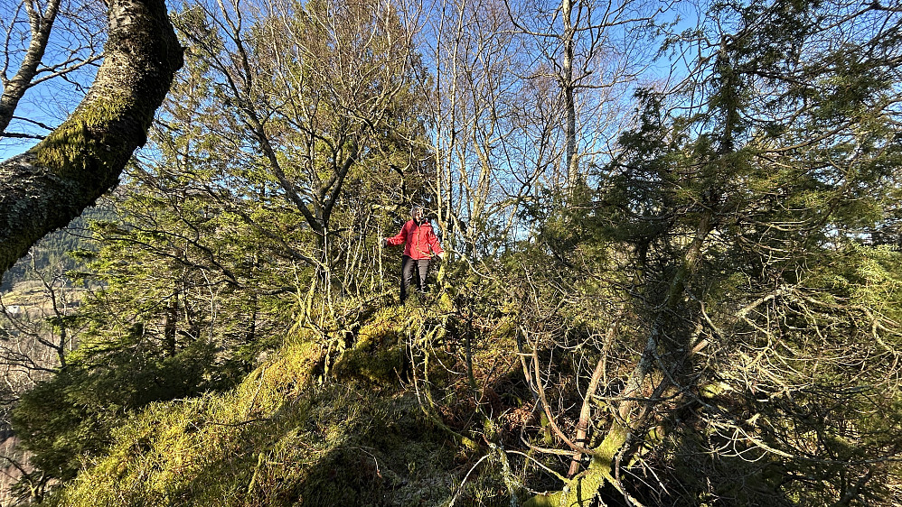 Astrid på toppen av Søyleåsen