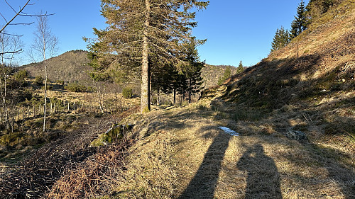 Byvegen på høyden vest for Ørnatua