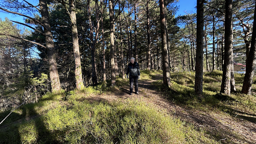 Astrid på skogstoppen Haukeberget i Åsane