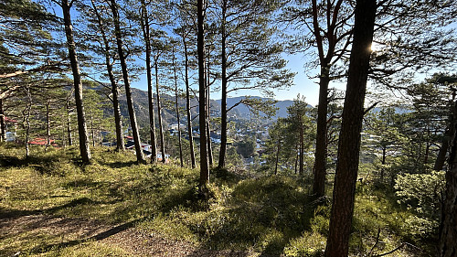 Utsikt østover