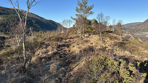 Lettgått langs ryggen