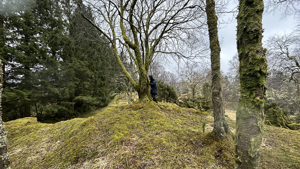 Godt påkledd Astrid på toppen av Eikåsen!