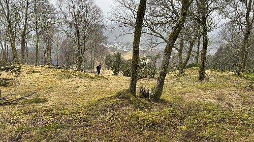 Astrid på vei opp bakkene fra gården på Eikås