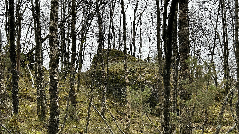 Toppunktet på Hagåsen