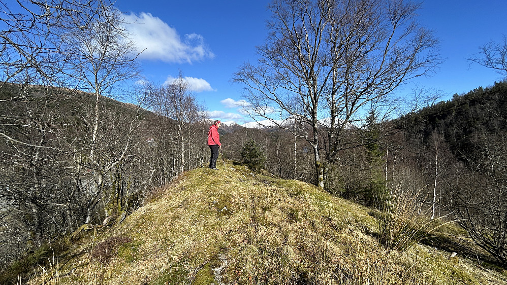 Astrid på toppen av Meåsen 311 moh på Frotveit. Foto mot NØ