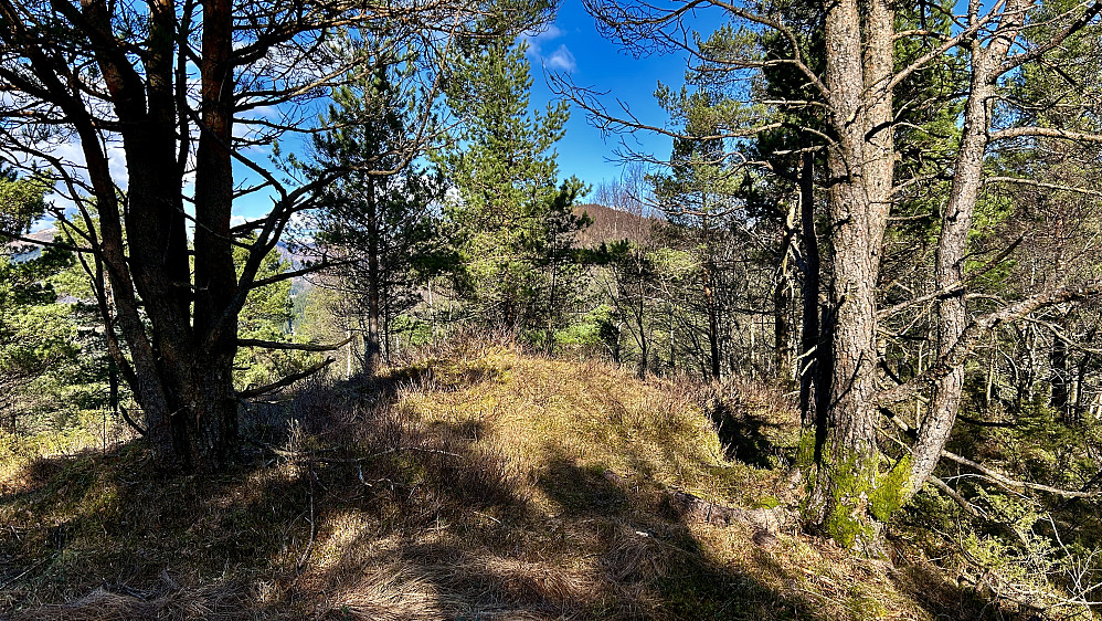 Toppen av Smørkisfjellet 334 