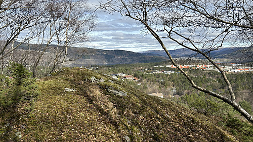 Fjellknaus SØ på Furelegene