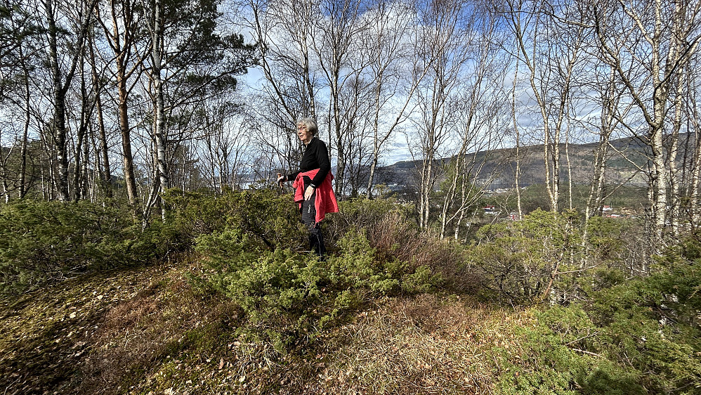 Astrid på høyeste punkt på Furelegene 111 moh