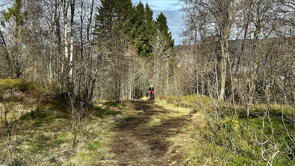 Oppover bakkene fra Søre Tuft mot Almåsgården