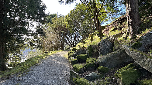 Parkområdet VNV for Jomfruhaugen