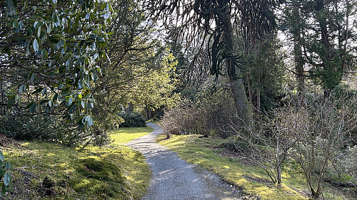 Parkområdet VNV for Jomfruhaugen