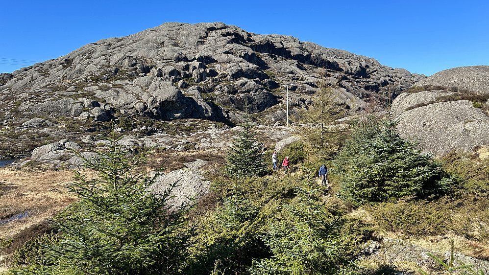 Først over et lite myrområde og så mot fjellet