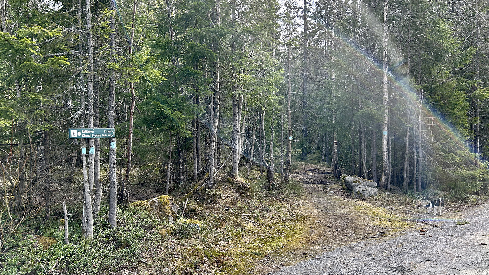 Turstart mot Sirikjerke