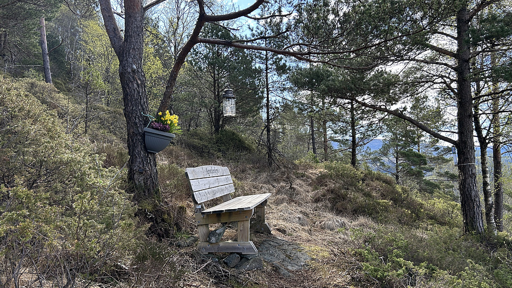 Agnesbenken pyntet for Påsken!
