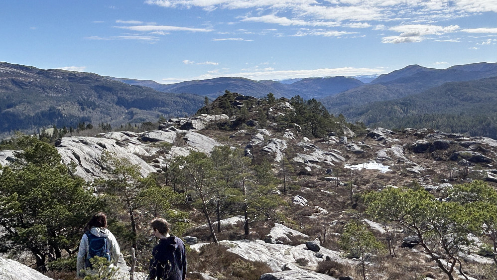 Foto mot øst og knausen med det nye toppunktet