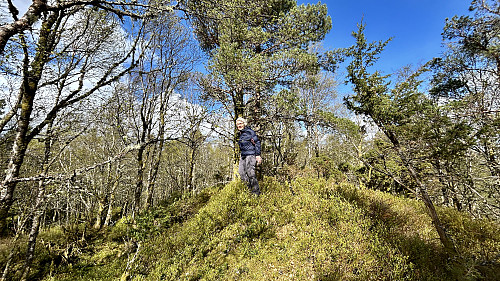 Hjortlandsåsen 300 moh 