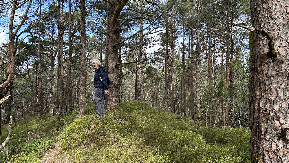 Astrid på høyeste punkt av Hålihovden 326 moh