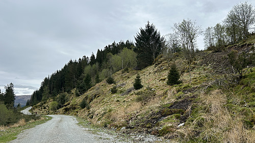 Åsen sett fra nord