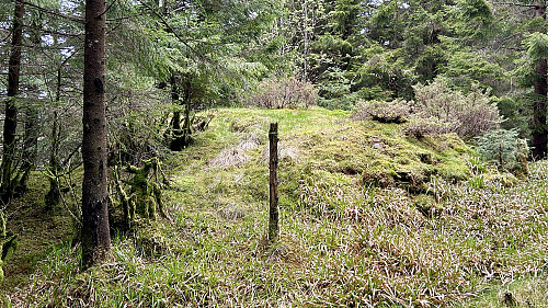 Åsen 247.4 moh