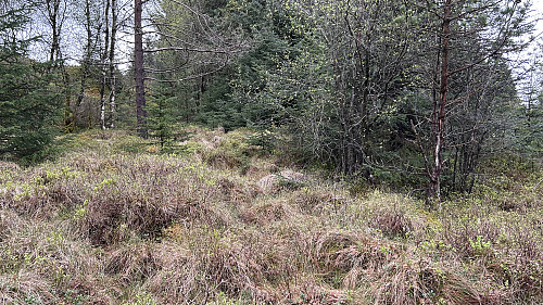 Humpete terreng nord for Kubrekka
