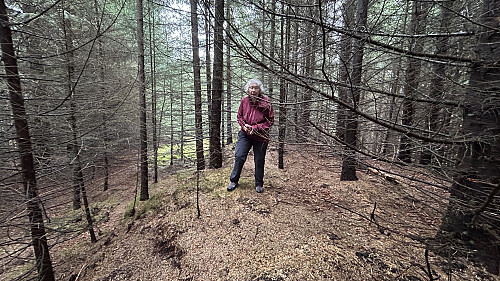 Astrid på toppen av av Kubrekka inne i granskogen