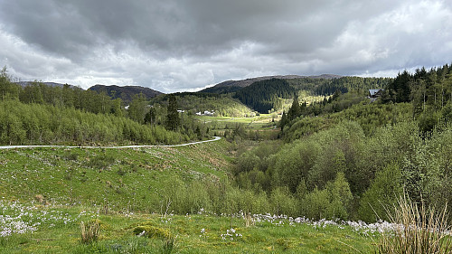 Tilbakeblikk mot Totlandsvegen og Fjellbirkeland