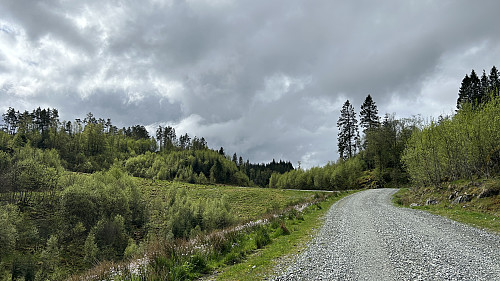 Fin grusvei oppover Utledalen