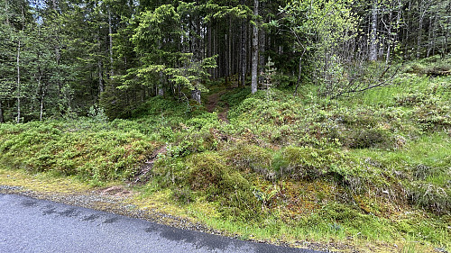 Her tok vi av på umerket sti mot toppen