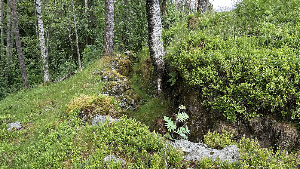 Detaljbilde av løpegrav