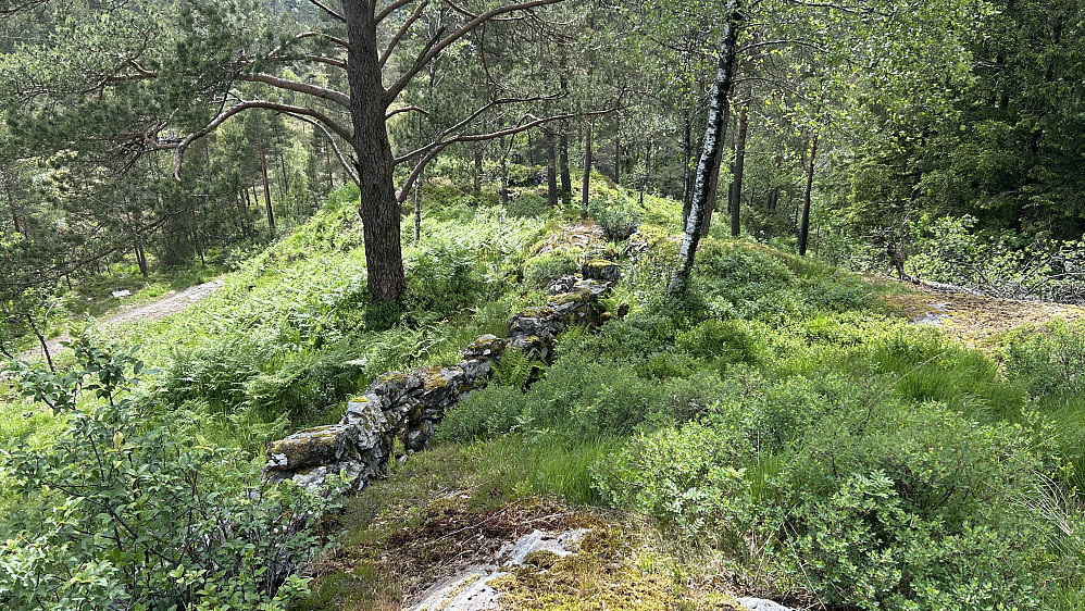 Skyttergrav og oppmuring mot sør. Foto mot vest. Vei mot Fortunbakkane mot venstre