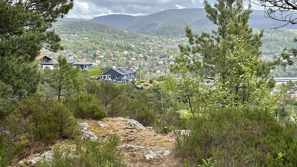 Toppen på Langaberget med metallbolt i fjellet.