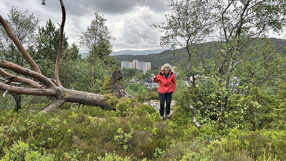 Astrid nesten oppe på Nordåsen 179.2 moh