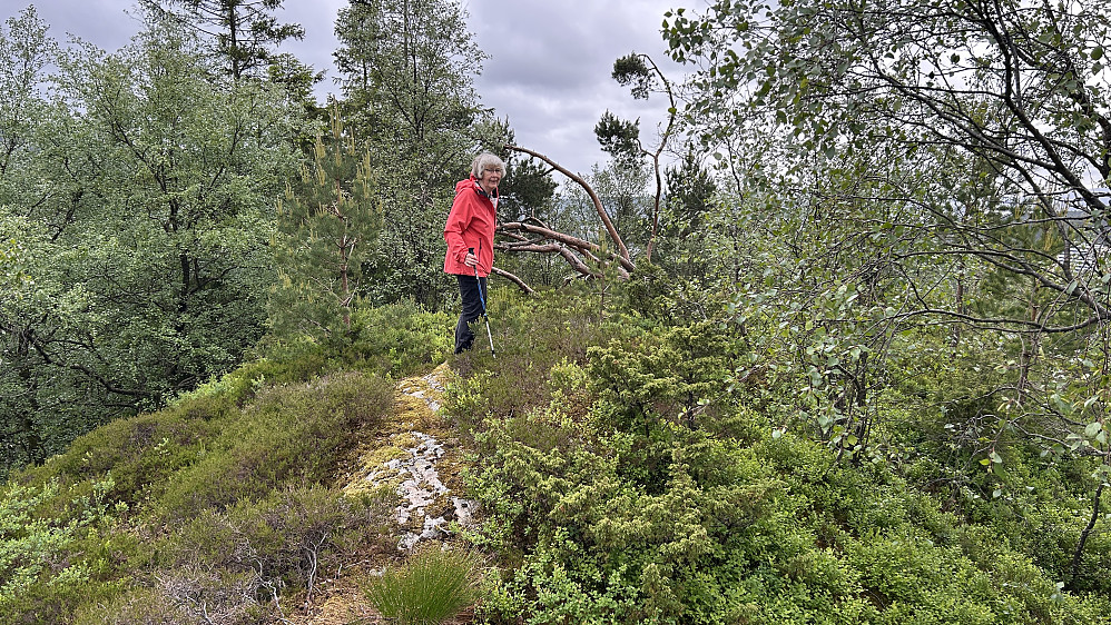Toppen på Nordåsen
