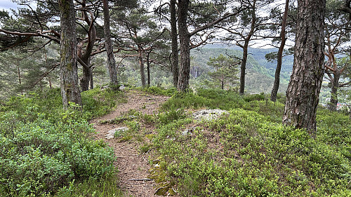 Toppområdet på Sætrefjellet