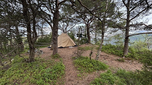 Lavvoen på Sætrefjellet