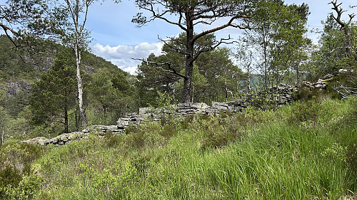 Steingarden i Kvernaskaret