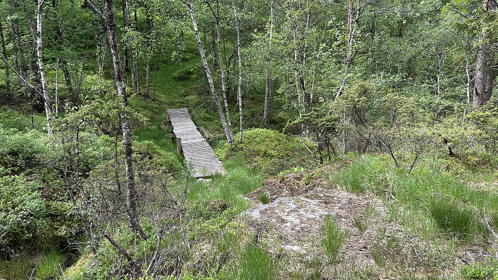 Bro sør for Hetlebakkstemma