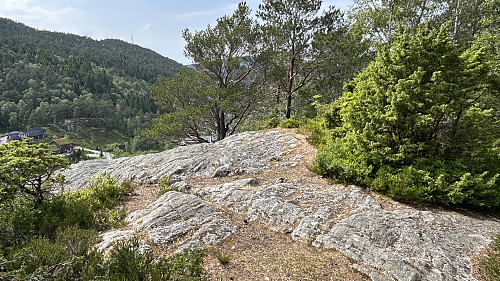 Toppen ligger ute på vestsiden av haugen Bratt ned mot Kolåshøyen.