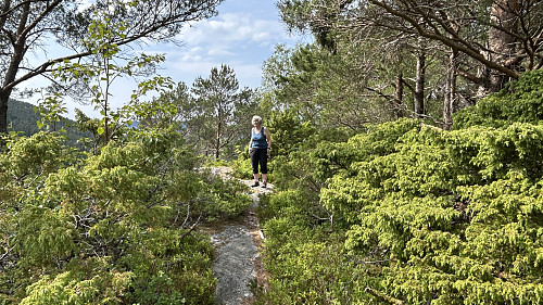 Astrid på toppen av Høgehøyen