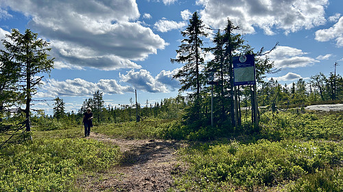 Sti mot Bislingflaka