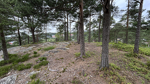Toppområdet