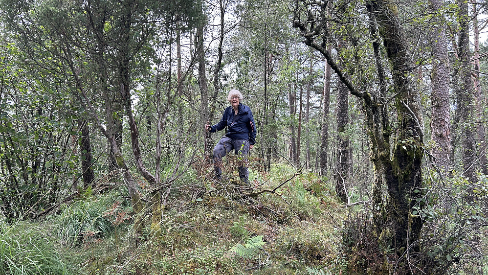 Astrid på toppen