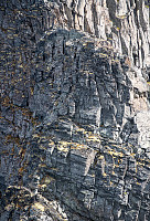 Þróndeimr_20210812_611570a3341db.jpg