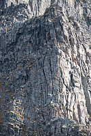 Þróndeimr_20210812_611570a629aaf.jpg
