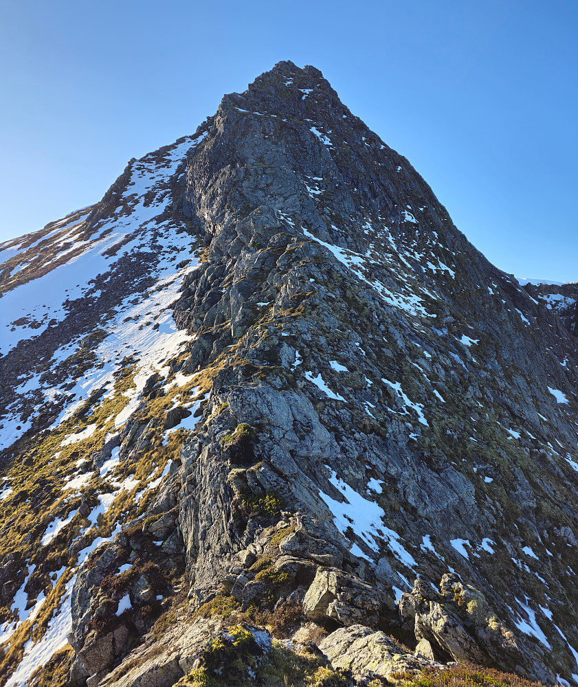 Nordøstryggen på Kvannfjellet