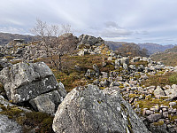 Sola_20231007_652165f8ef434.jpg