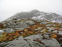 Sola_20231017_652e508ab07b1.jpg