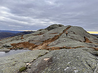 Sola_20231027_653bb62e50323.jpg