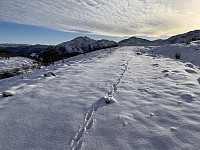 Sola_20231117_6557606f3ffe7.jpg