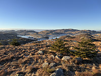 Sola_20240108_659c074ef221a.jpg